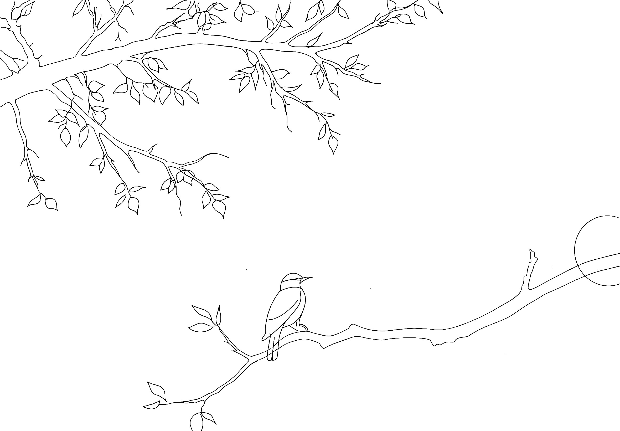 Cover 2